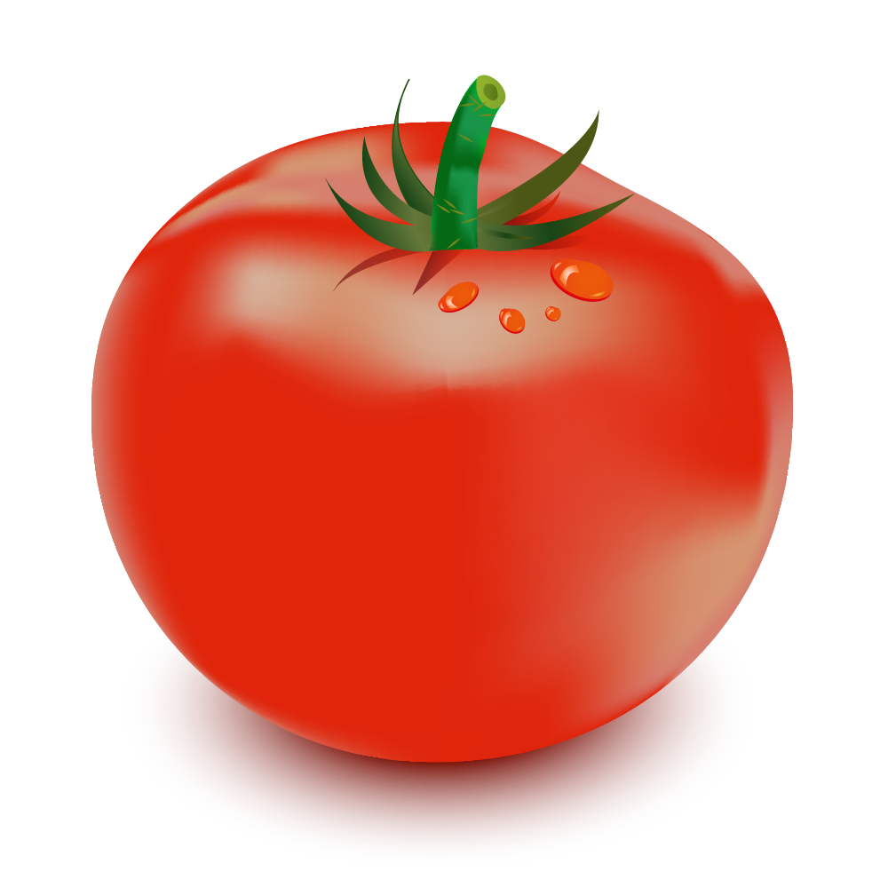 Tomato with Gradient Mesh